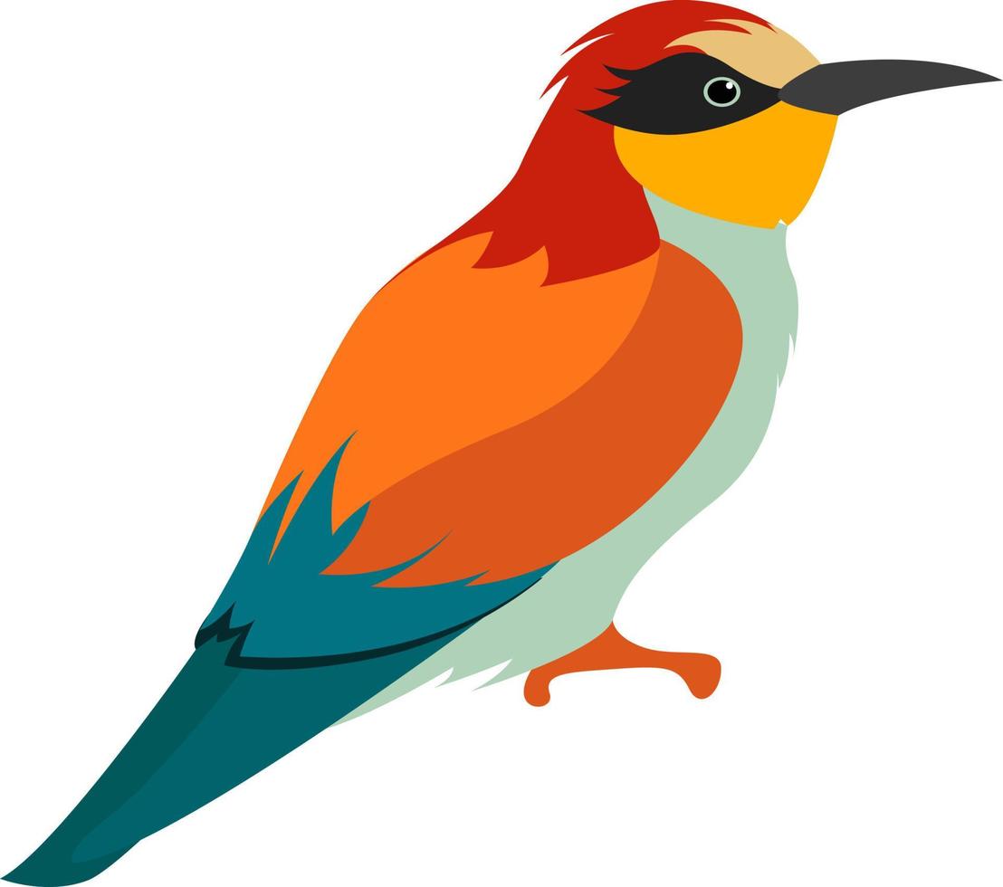exotischer farbiger Vogel, Illustration, Vektor auf weißem Hintergrund