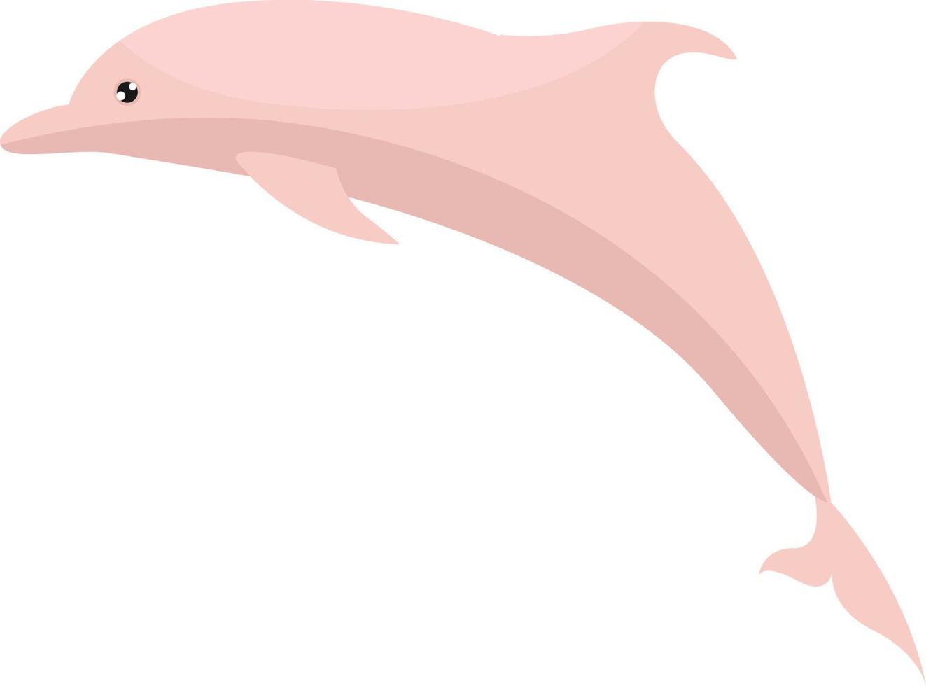 rosa delfin, illustration, vektor på vit bakgrund