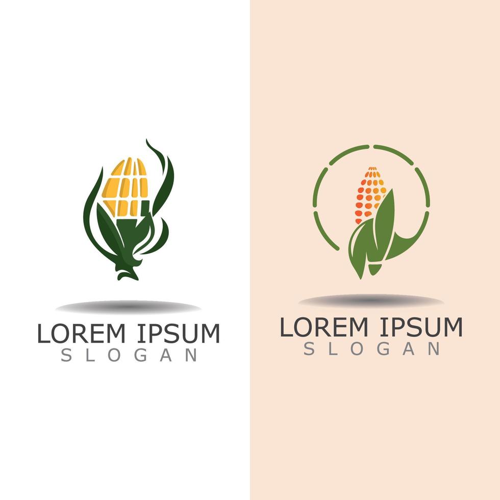 Mais einfaches Logo-Design Landwirtschaft Landwirtschaft Vektor