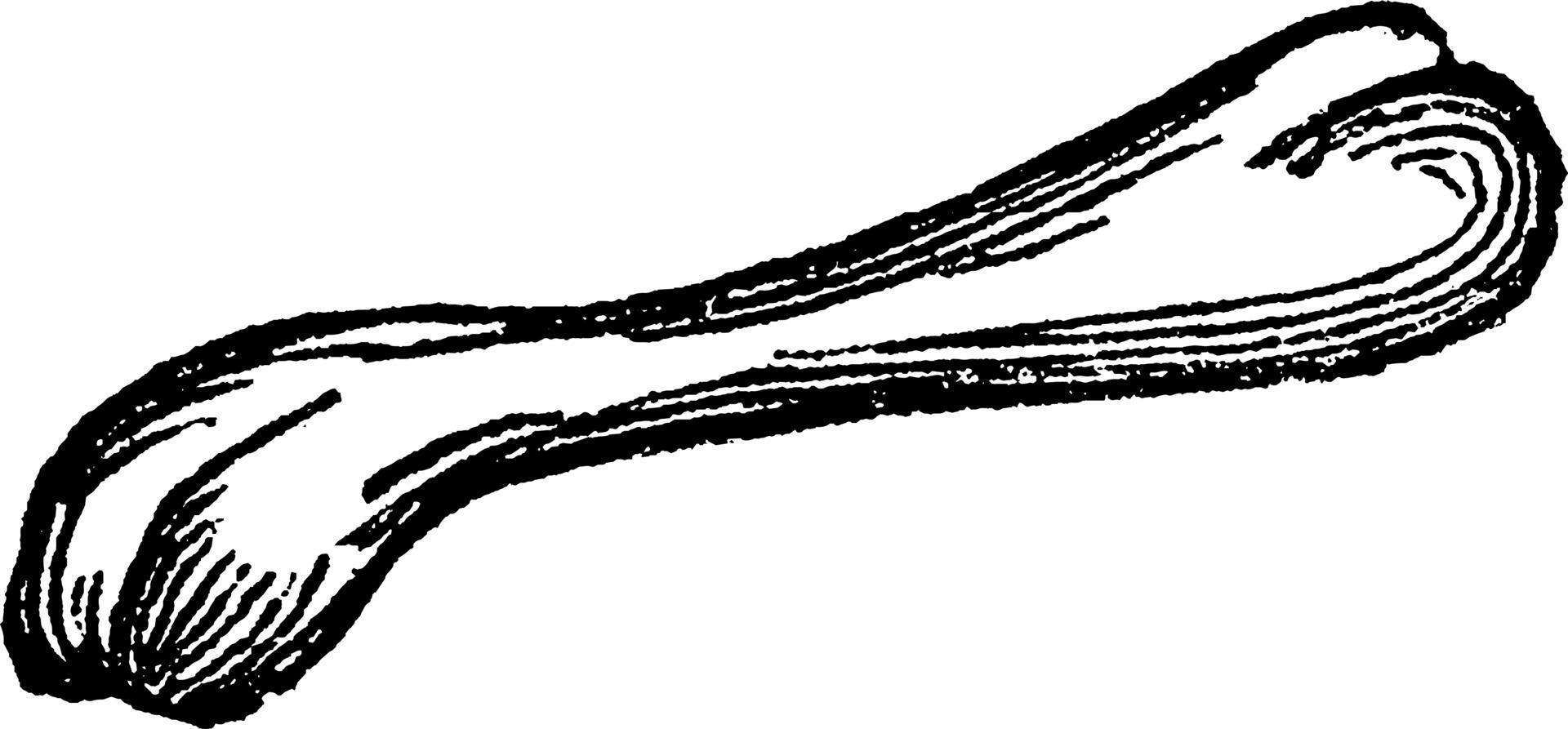 ben, årgång illustration vektor