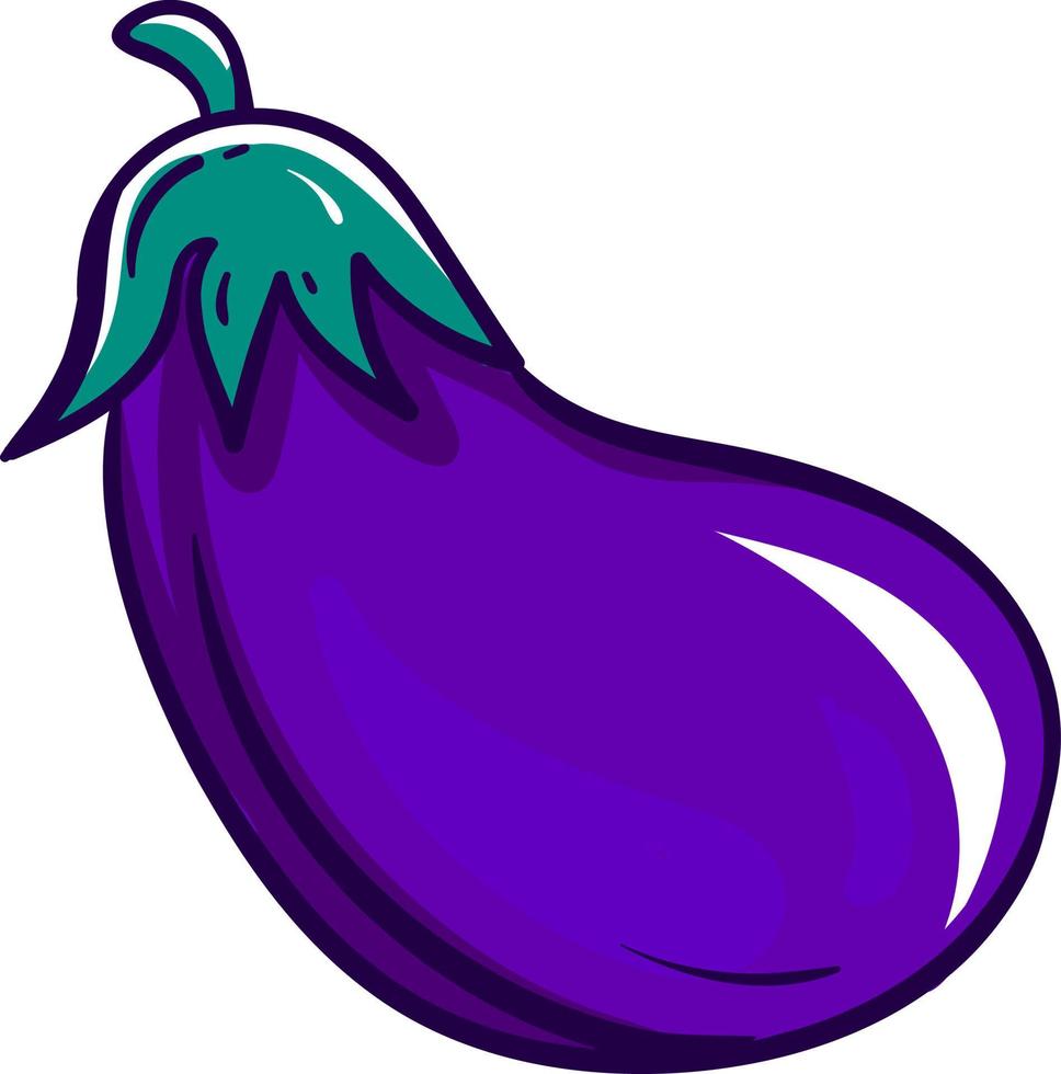 fette Aubergine, Illustration, Vektor auf weißem Hintergrund