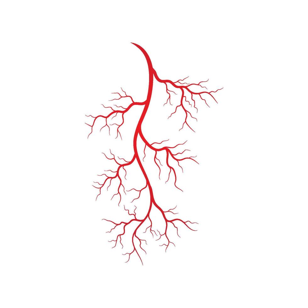 Abbildung menschlicher Venen und Arterien vektor