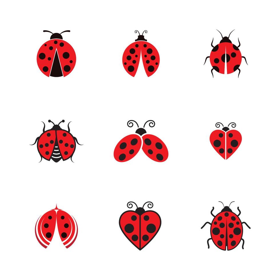 Beauty-Bug-Vektor-Illustration-Symbol vektor