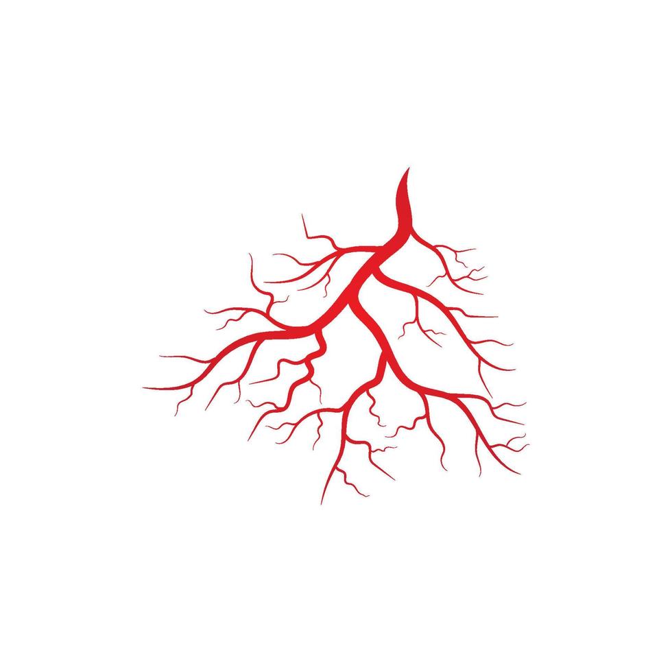 Abbildung menschlicher Venen und Arterien vektor