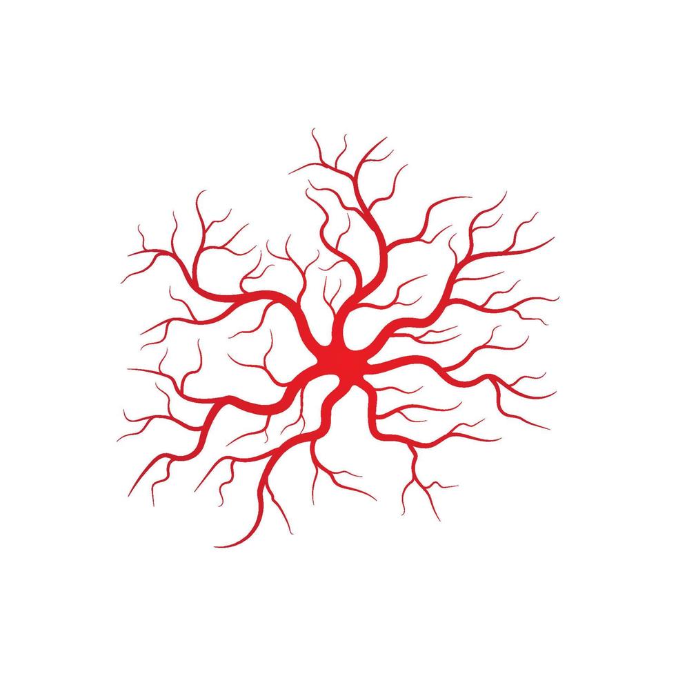 Abbildung menschlicher Venen und Arterien vektor