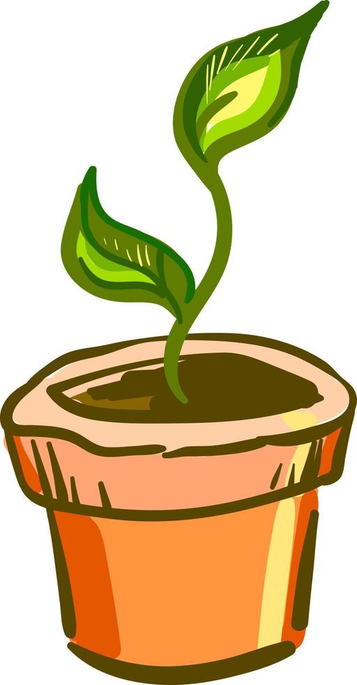 växt i ett orange pott, vektor eller Färg illustration.