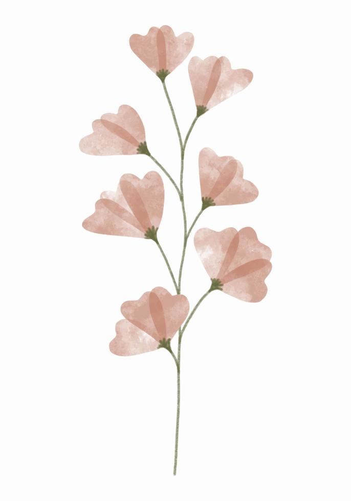 aquarell trendige blume. vektorillustration für web, app und druck. elegante feminine form floristische isolierte erbsenblume. Garten, botanisches, minimalistisches Blumenelement. vektor