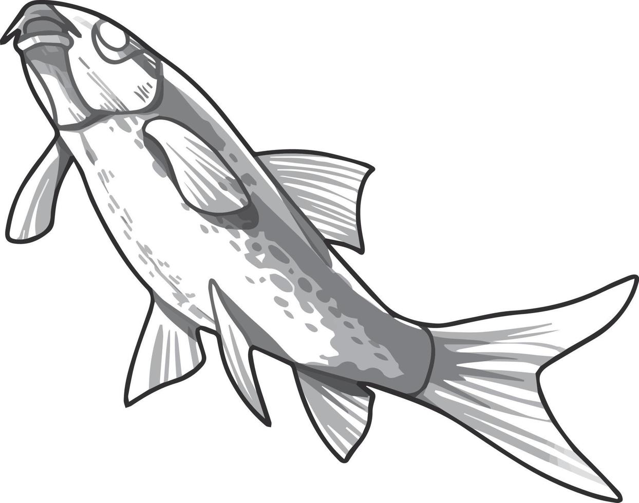 Gefährdete Meeresfische Schwarz-Weiß-Zeichnung. für Illustrationen und Malbücher vektor