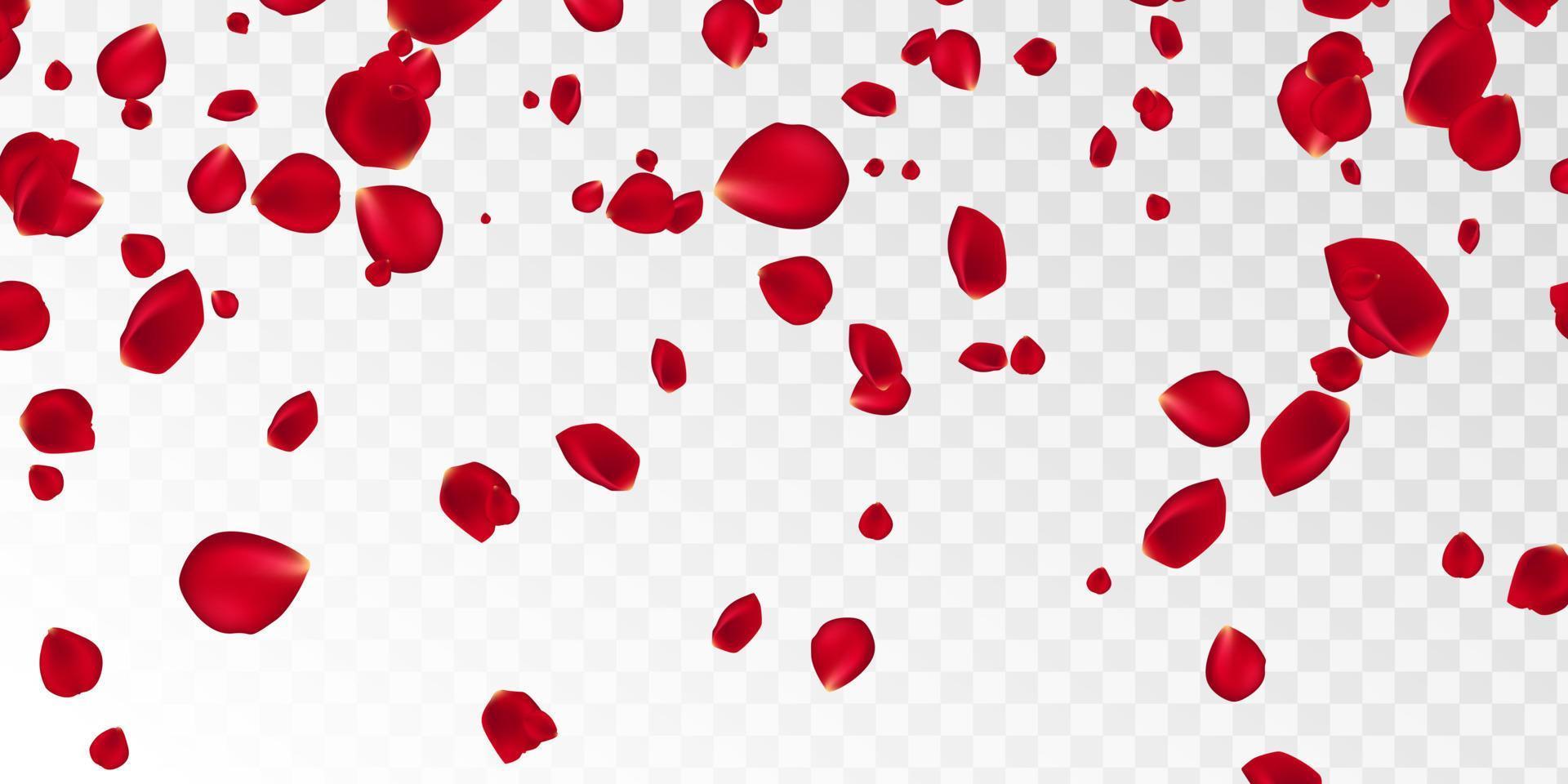 bakgrund med röd reste sig kronblad. eps 10 vektor. faller röd blomma kronblad mot rosa bakgrund. Lycklig valentines dag kort. hjärtans dag bakgrund. vektor