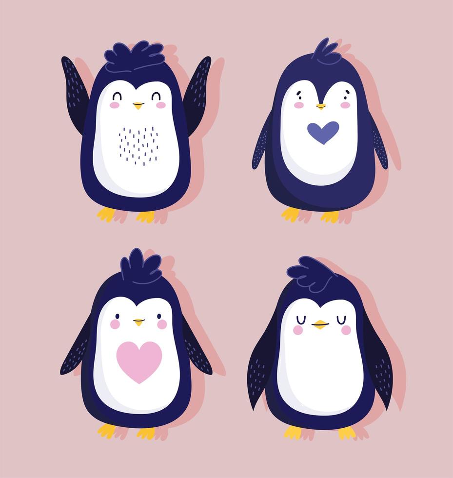 pingviner fågel ganska djur vektor