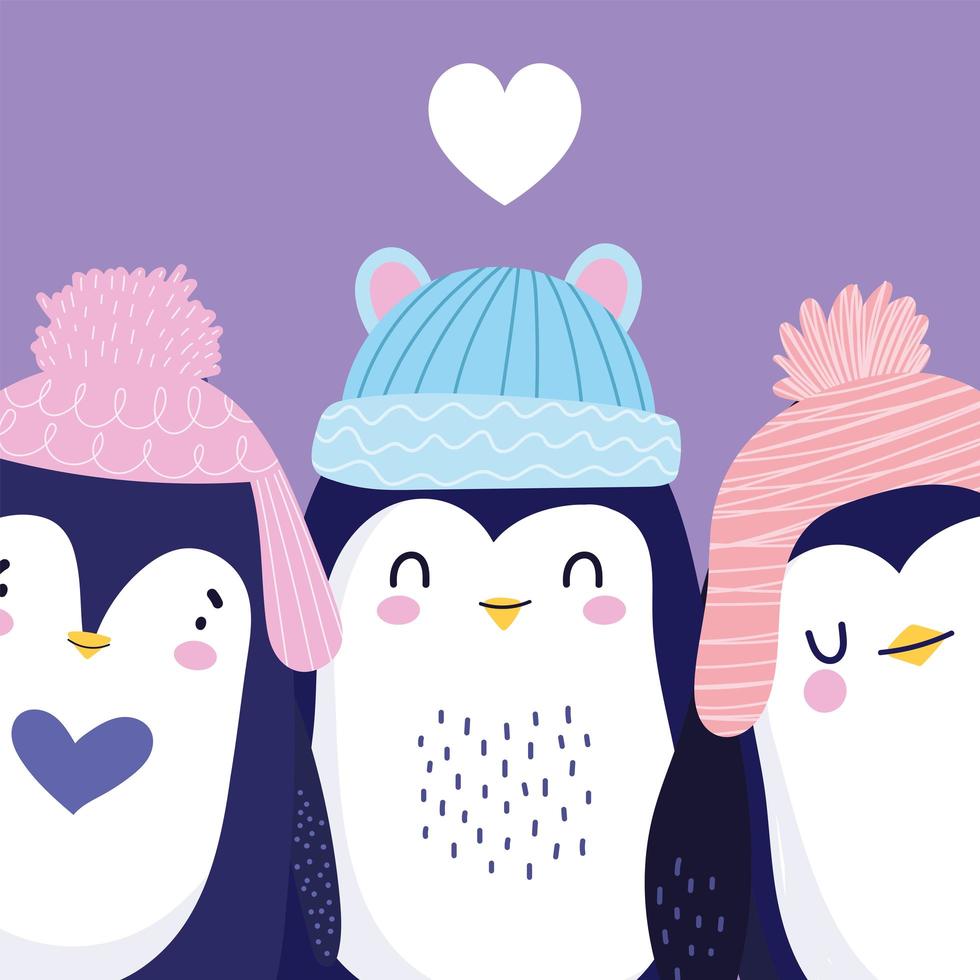 pingviner bedårande med pom pom hattar vektor