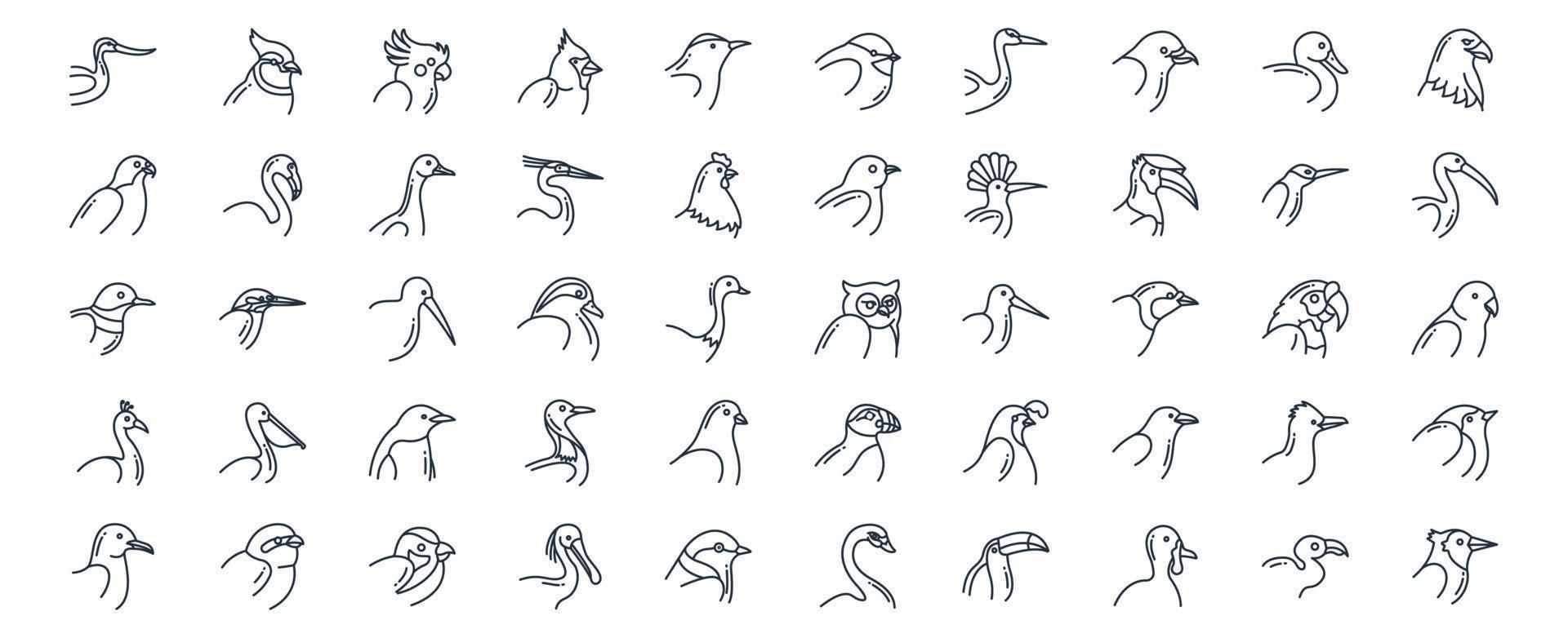 Sammlung von Symbolen im Zusammenhang mit Vögeln, darunter Symbole wie Säbelschnäbler, Ente, Kardinal und mehr. vektorillustrationen, pixelperfekter satz vektor