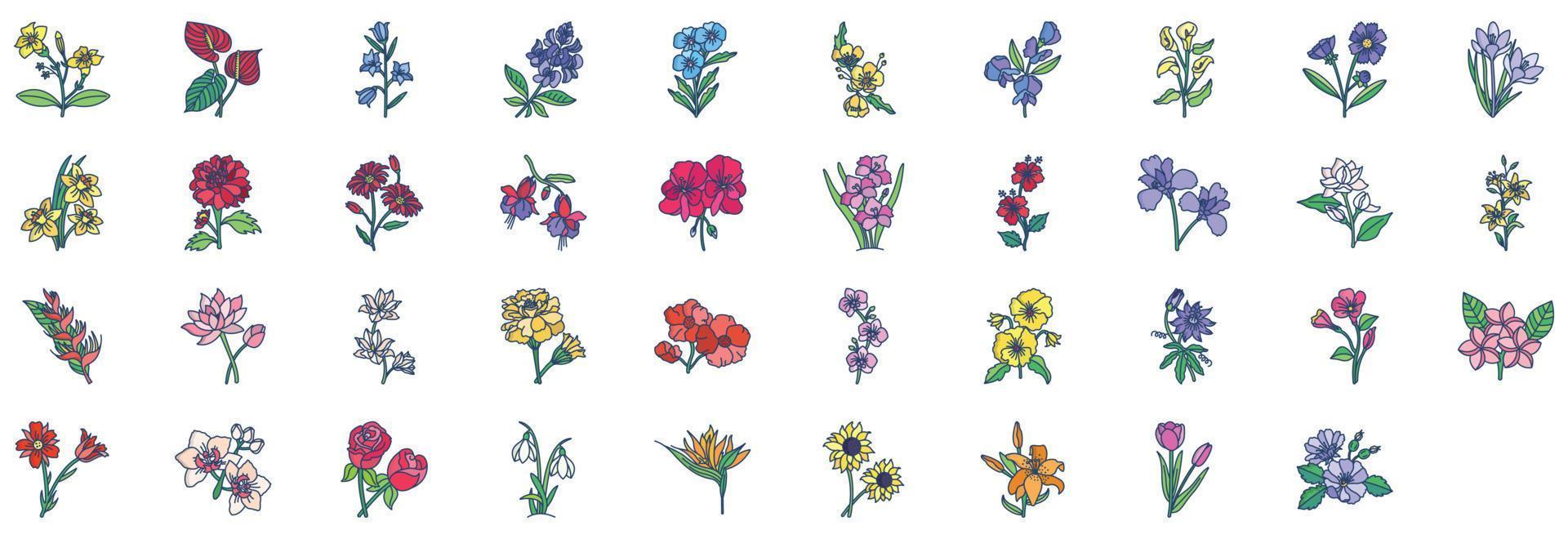Sammlung von Symbolen im Zusammenhang mit Blumen, darunter Symbole wie Fuchsia, Gänseblümchen, Sonnenblume und mehr. vektorillustrationen, pixelperfekter satz vektor