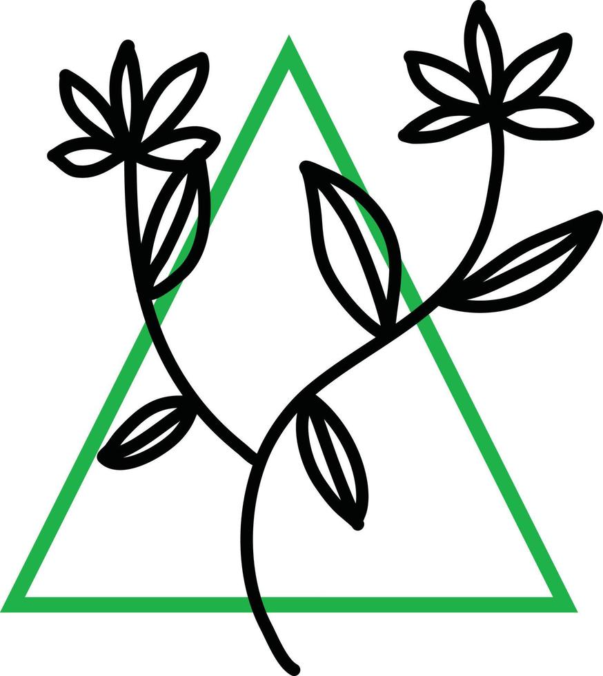 zwei Blumen mit fünf Blättern, Illustration, Vektor auf weißem Hintergrund