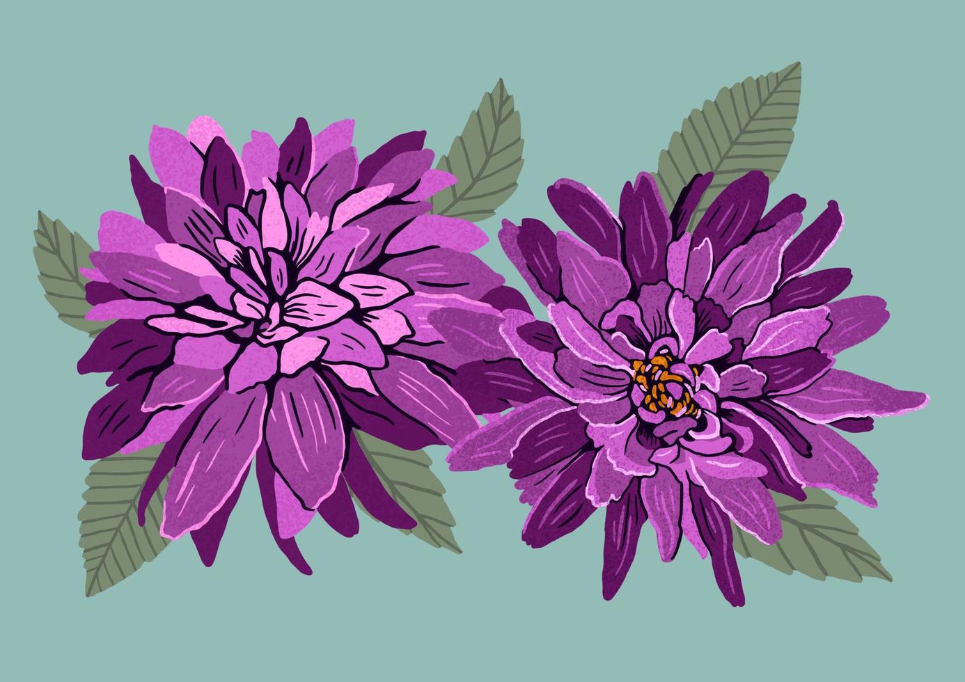 lila grafisk dahlia blommor. modern platt mode illustration. vektor