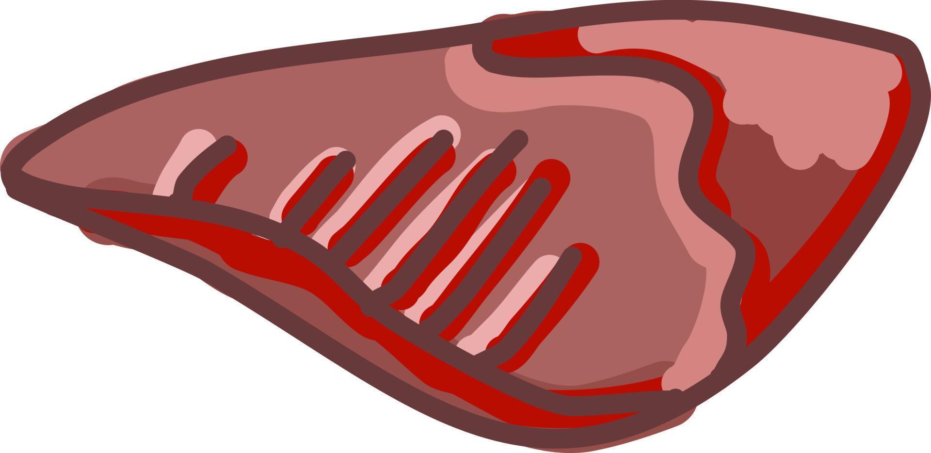 röd kött, illustration, vektor på vit bakgrund.