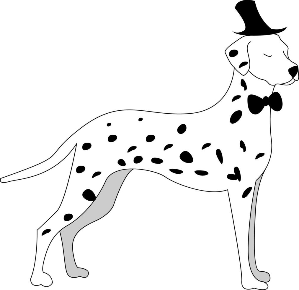 dalmatiner hund, illustration, vektor på vit bakgrund.