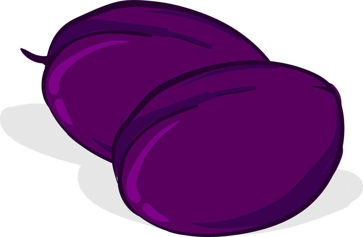 violette Pflaumen, Illustration, Vektor auf weißem Hintergrund.