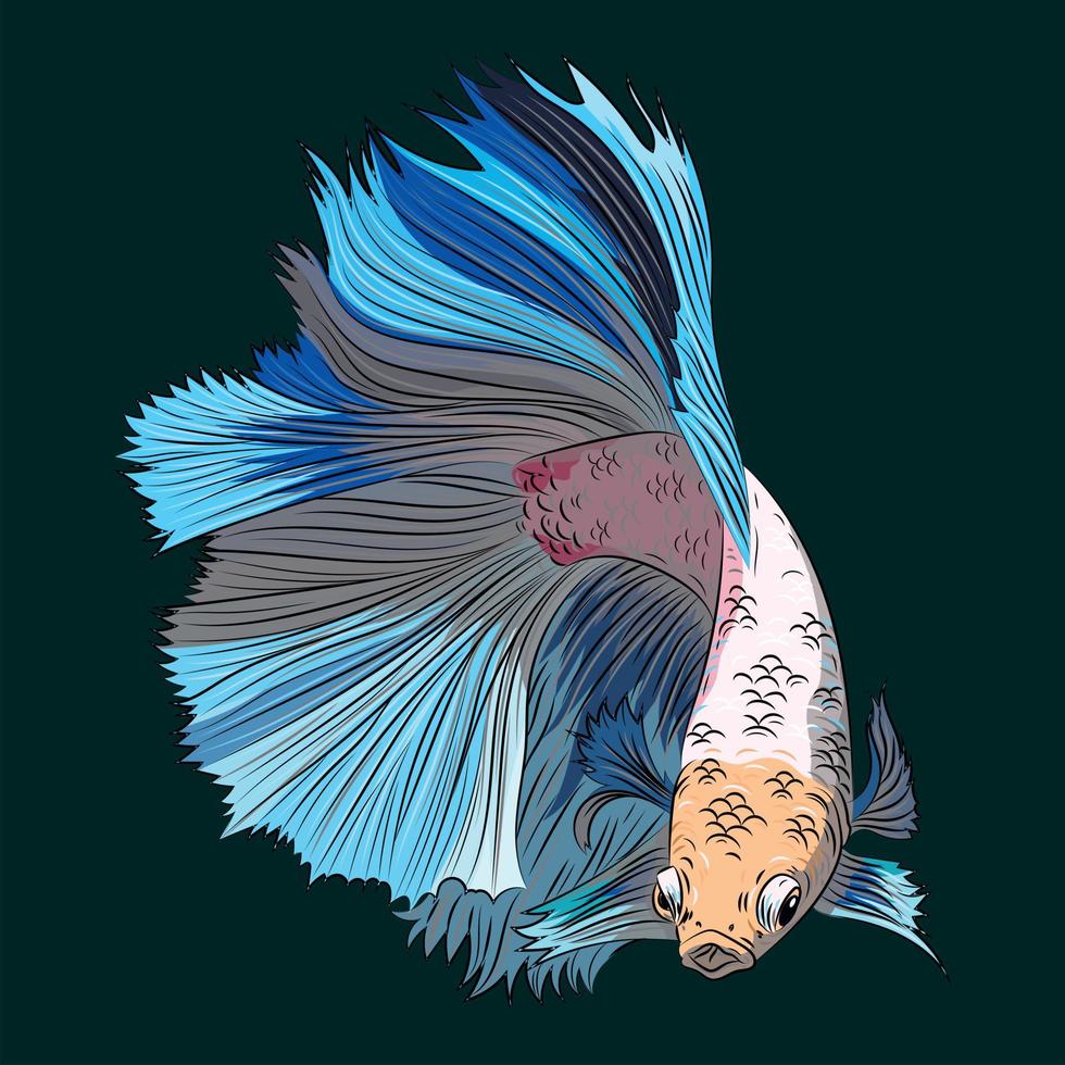 vektorillustration von niedlichen betta-fischen vektor