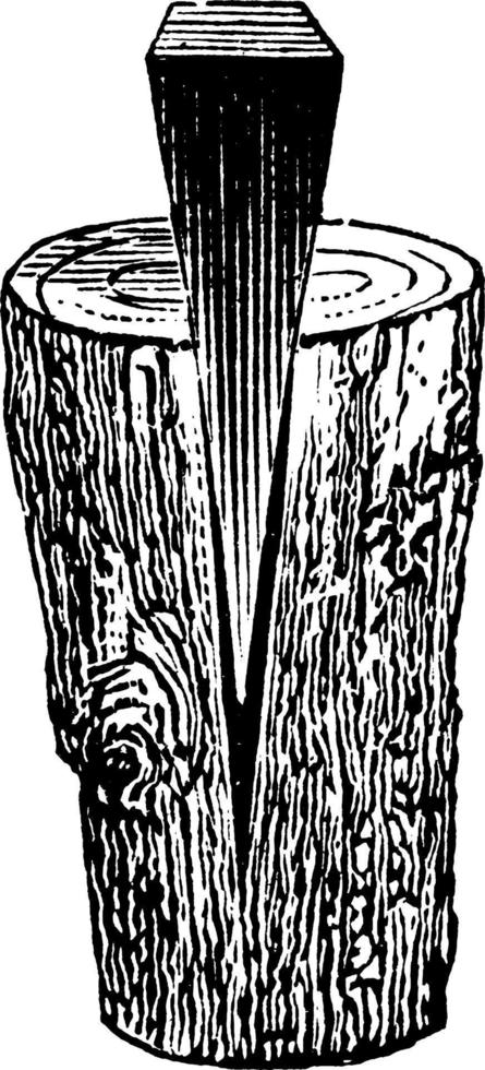 kil delning trä, årgång illustration. vektor