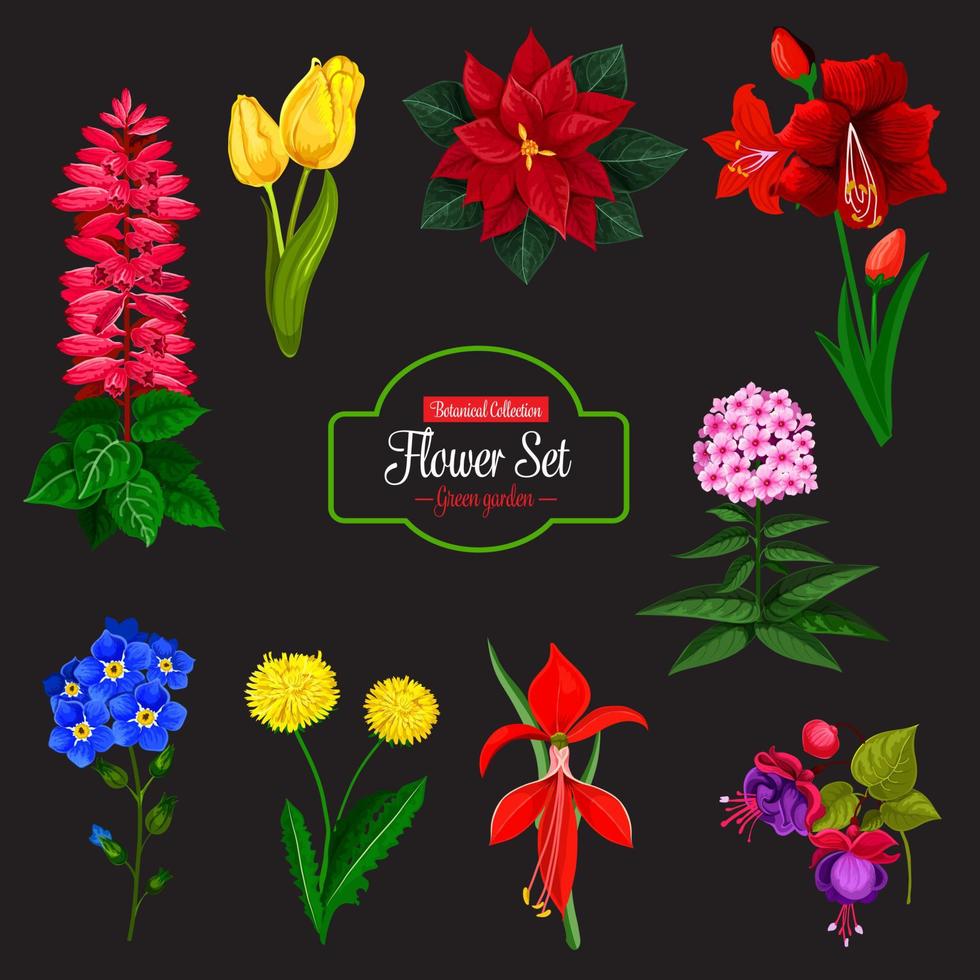 blomma bukett tecknad serie ikon för blommig design vektor