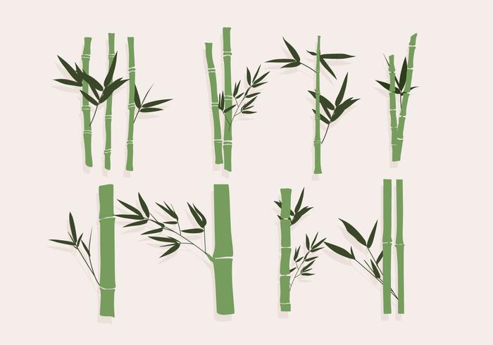 Bamboo Green Vector