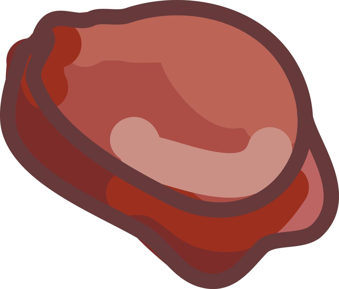 Rundes Fleisch, Illustration, Vektor auf weißem Hintergrund.