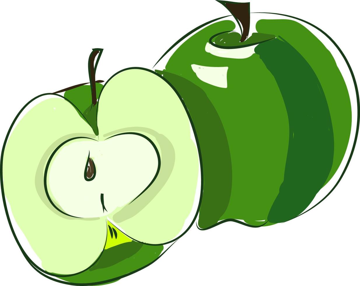 en färsk grön äpple, vektor eller Färg illustration.