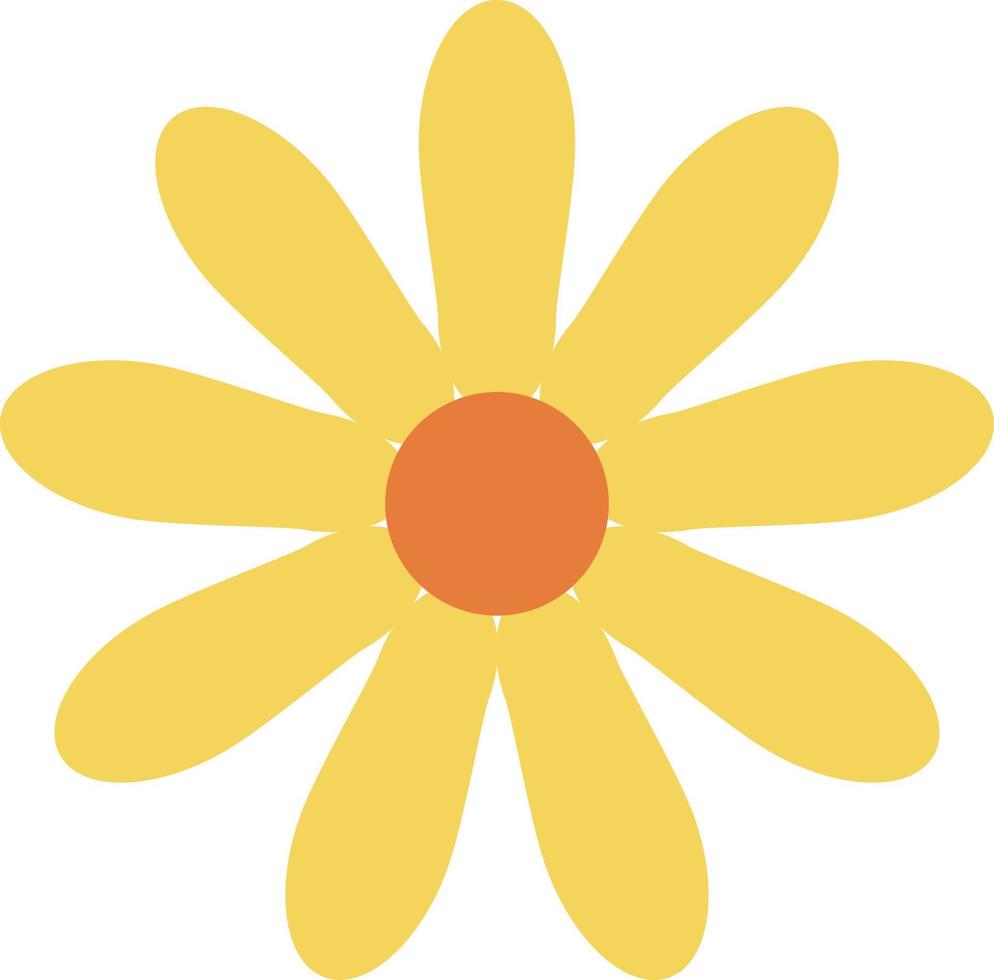 gelbe Kamillenblüte, Illustration, Vektor, auf weißem Hintergrund. vektor