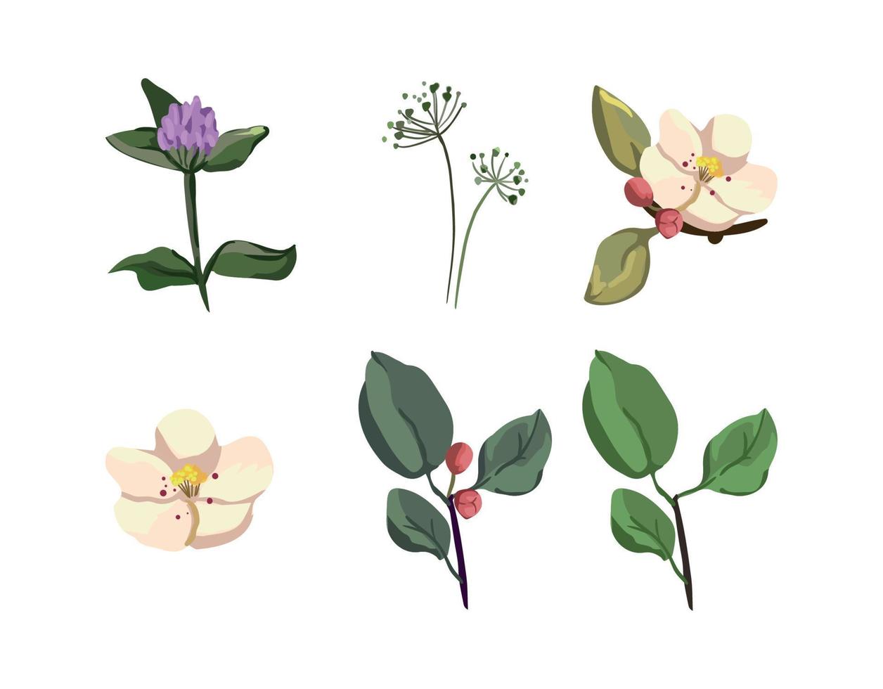 Sammlung von Blumen vektor