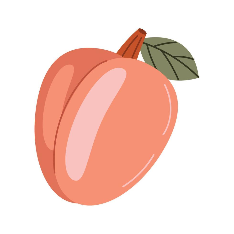 mango färsk frukt vektor