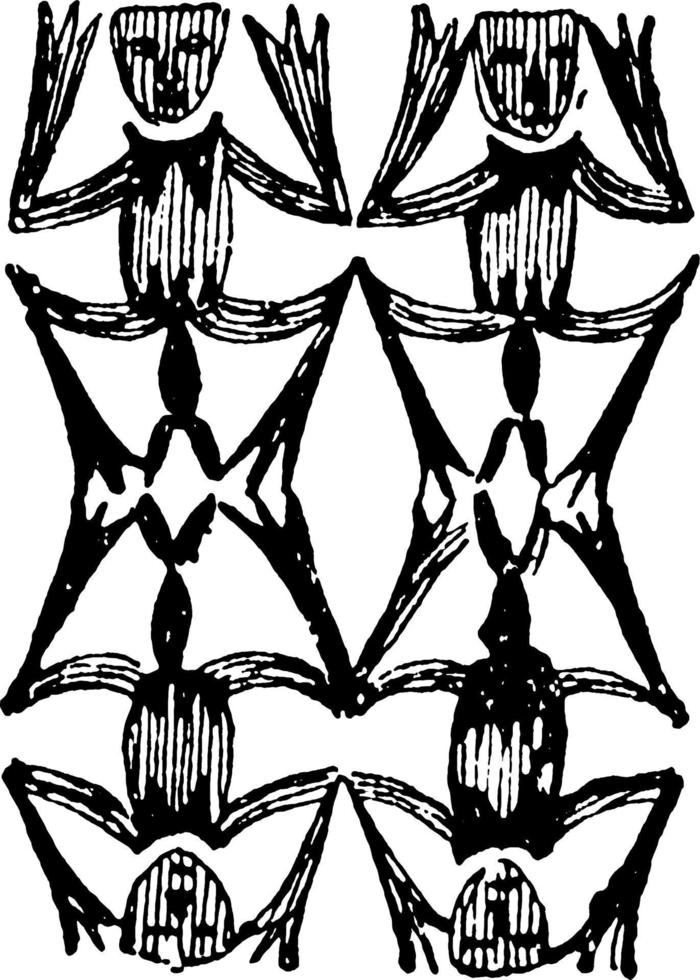 Tiki-Tiki-Motiv hat vier lustige Tiere in diesem Muster, Vintage-Gravur. vektor