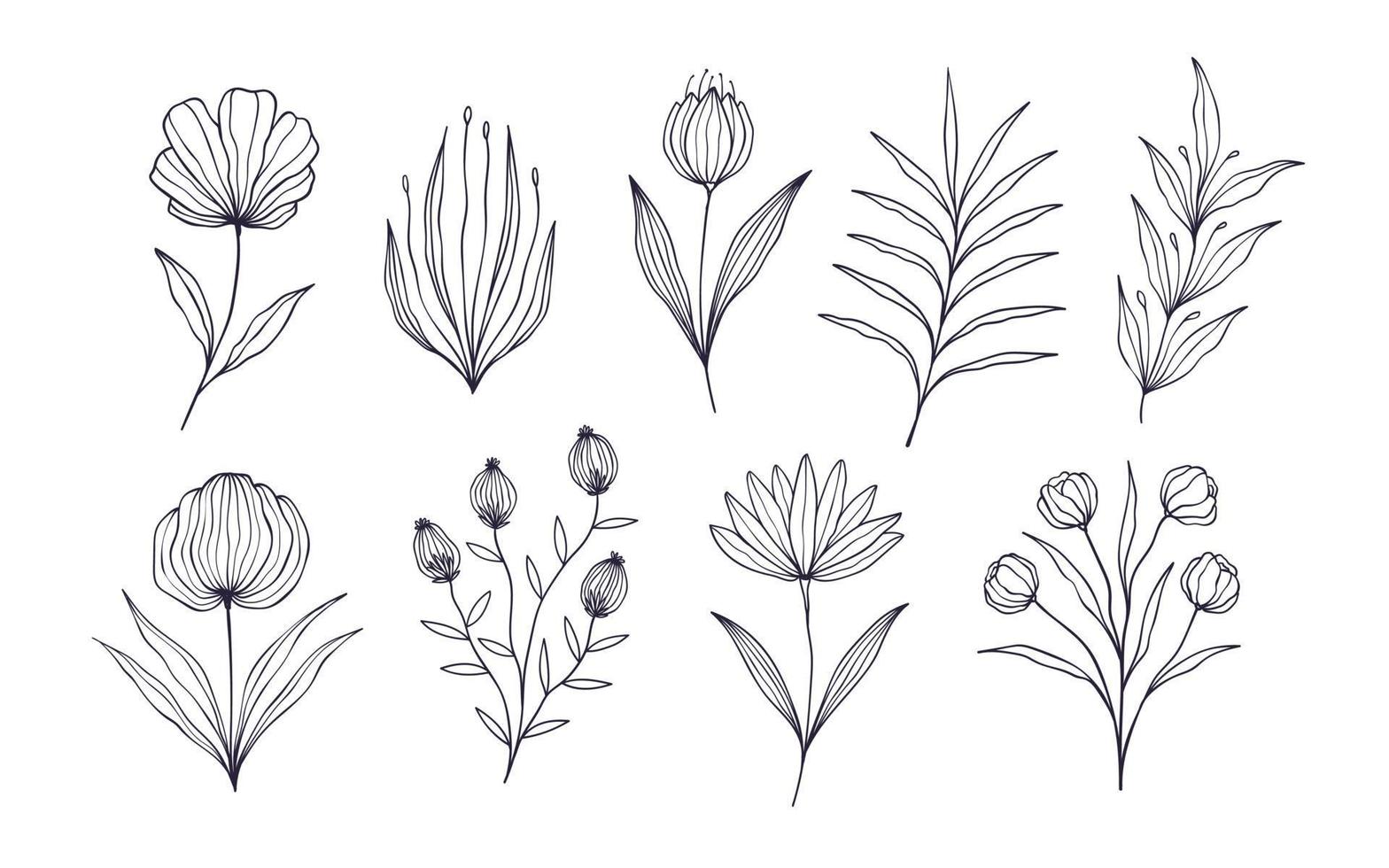 satz von handgezeichneten botanischen blumenelementen. Vektor-Illustration isoliert auf weißem Hintergrund vektor