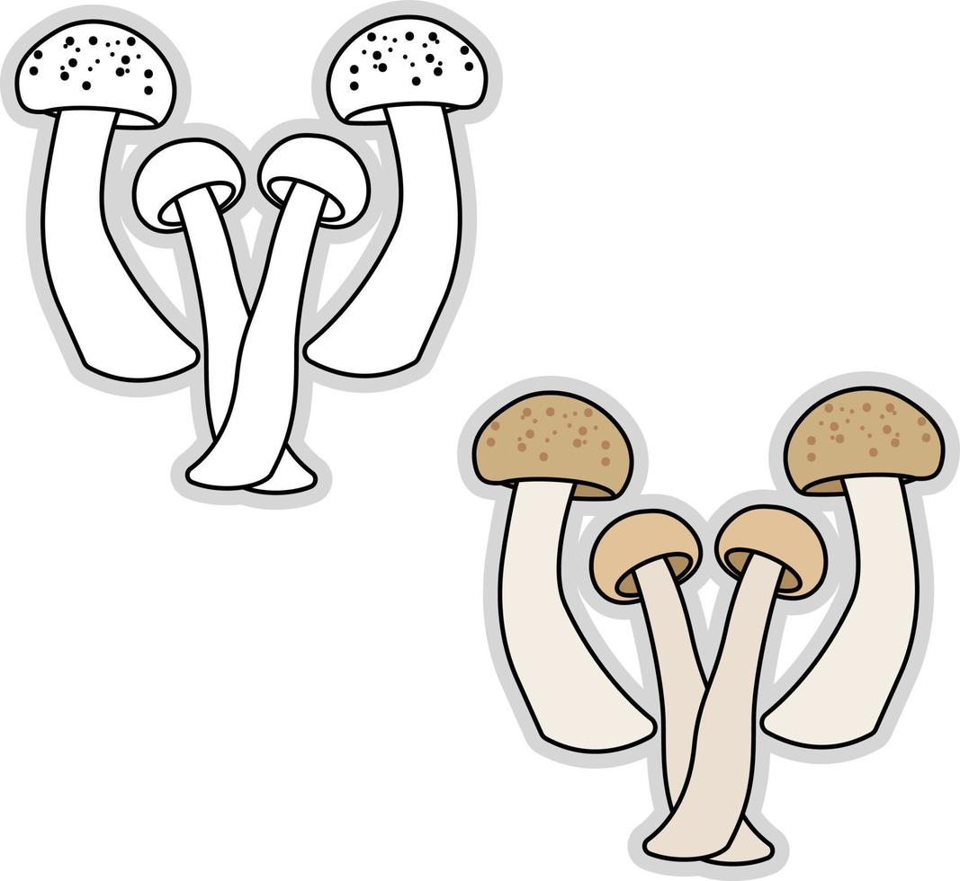 färsk svamp, illustration, vektor på vit bakgrund.