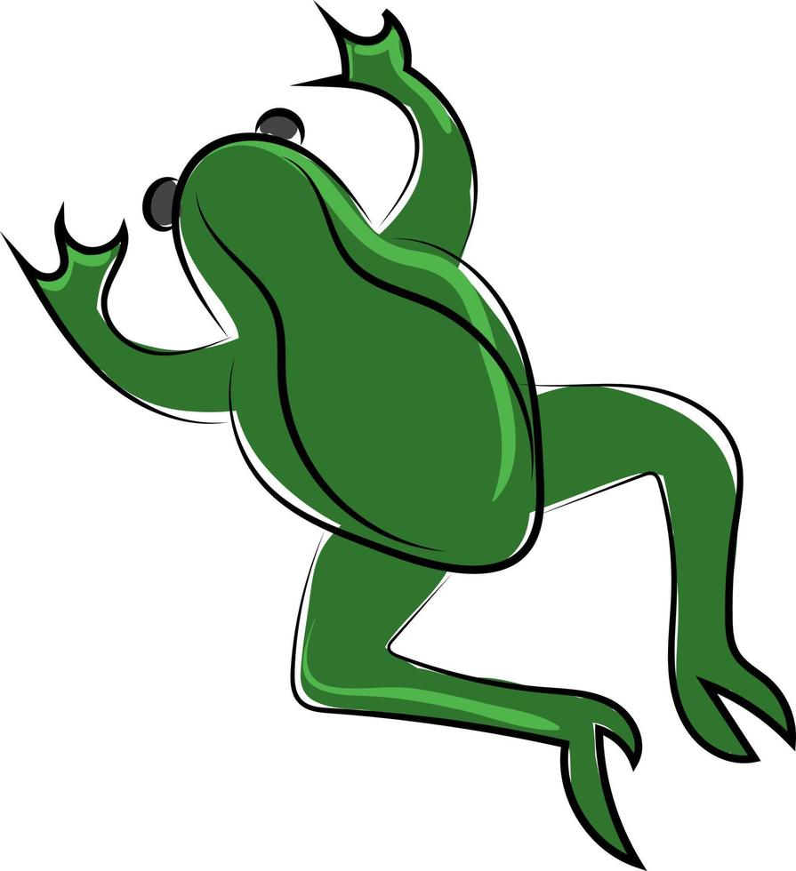 grüner Frosch, Illustration, Vektor auf weißem Hintergrund.