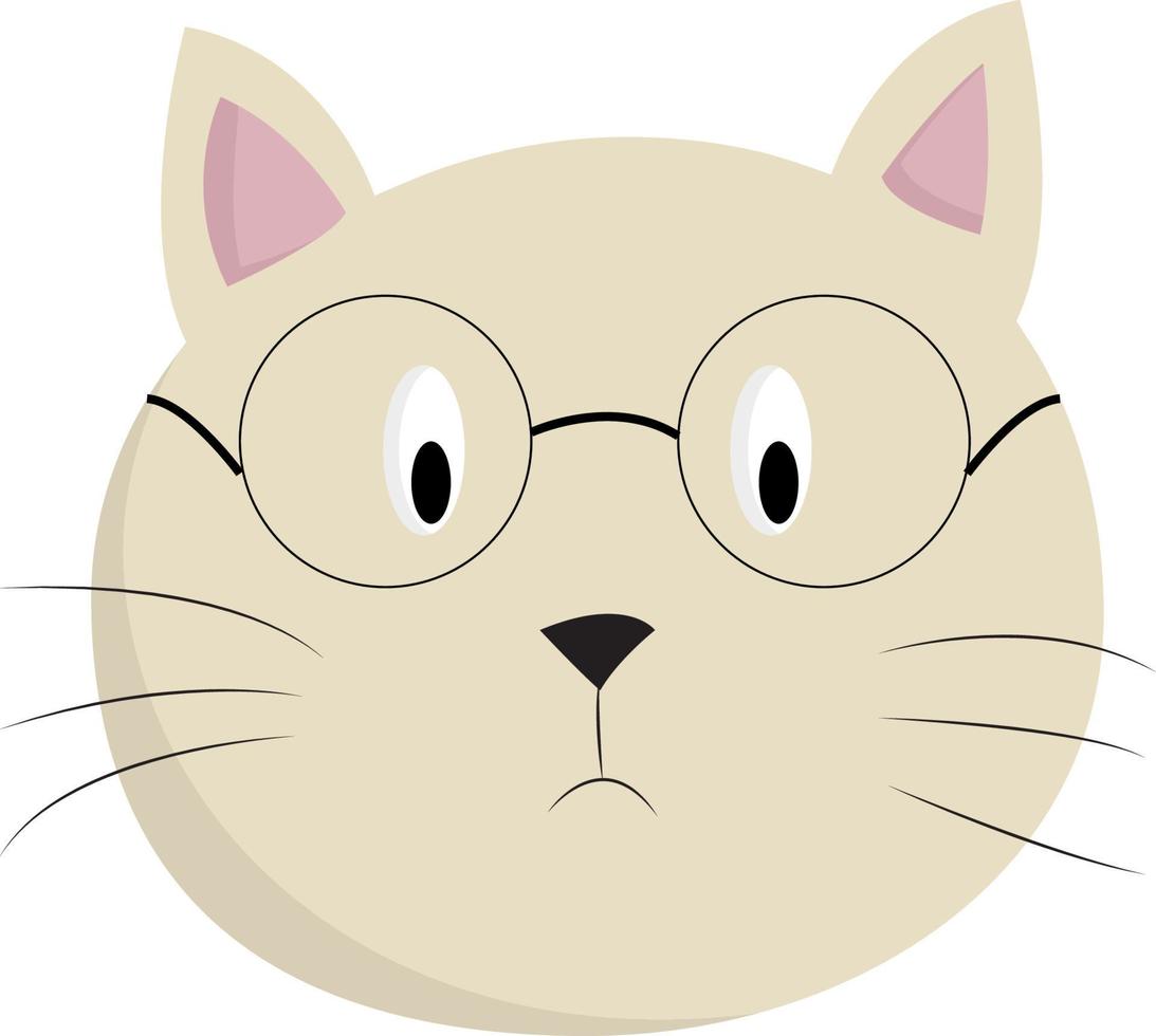 eine katze mit brille, vektor oder farbillustration.