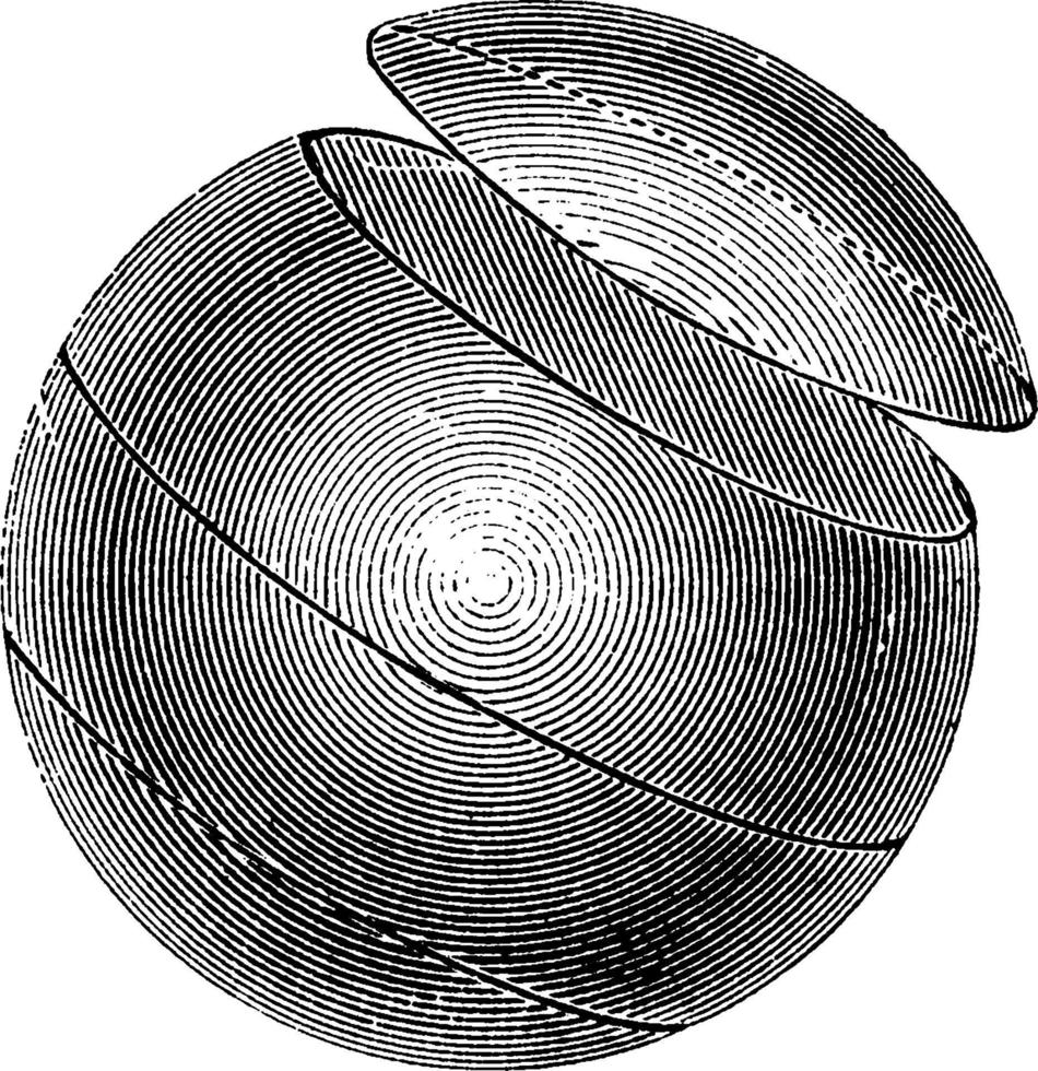 kleiner kreis, kugelkreis, vintage illustration vektor