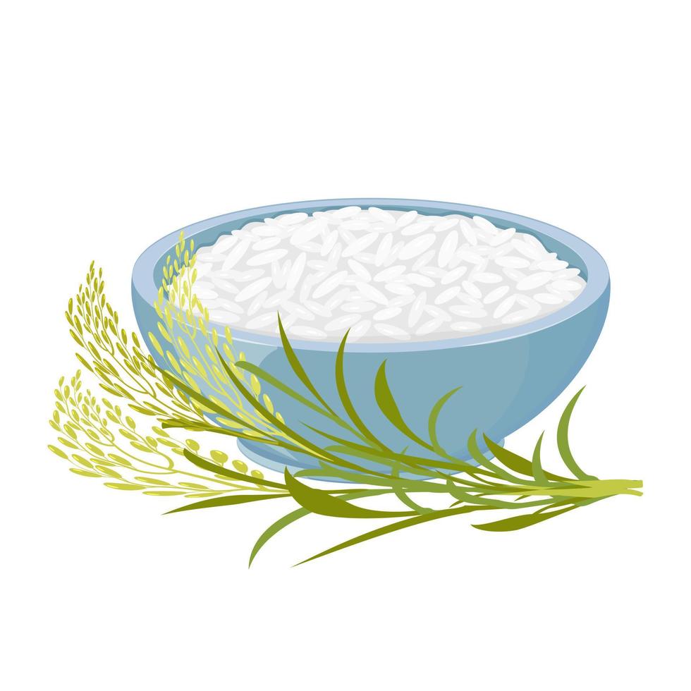 Reis in Schüssel mit Ährenzweig. Ernte und fertig gekochte Produkte aus Getreidepflanzen. vektor