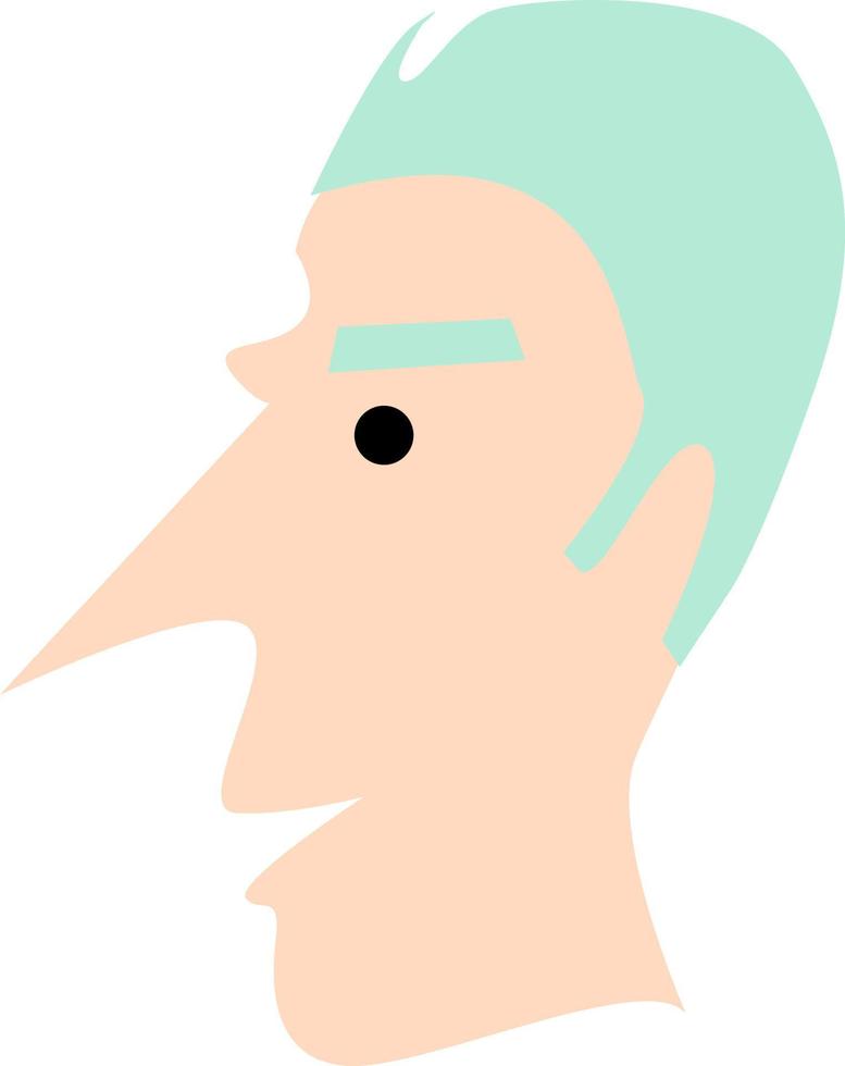 män med grön hår och lång näsa, illustration, vektor, på en vit bakgrund. vektor