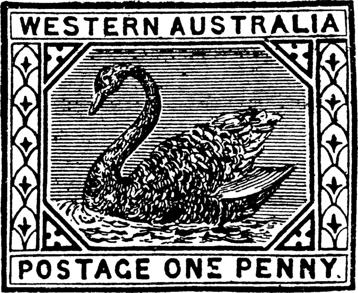 Västra Australien ett penny stämpel från 1890 till 1893, årgång illustration. vektor