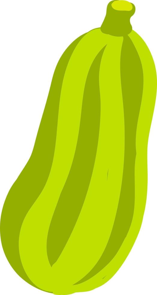 Zucchini flach, Illustration, Vektor auf weißem Hintergrund.