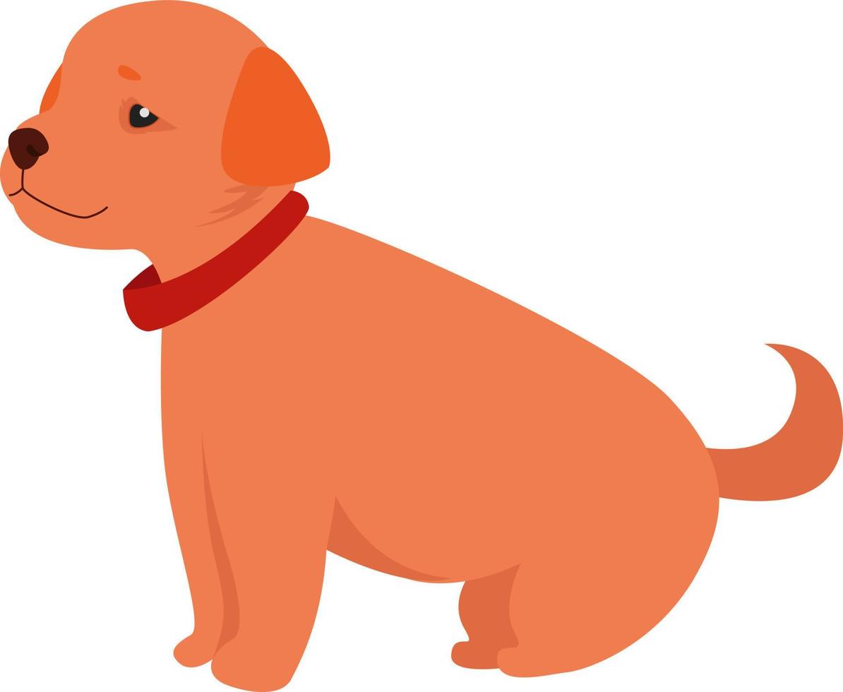 hund med krage, illustration, vektor på vit bakgrund