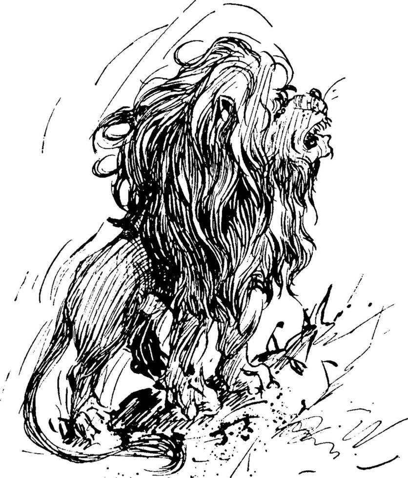 lejon, årgång illustration. vektor