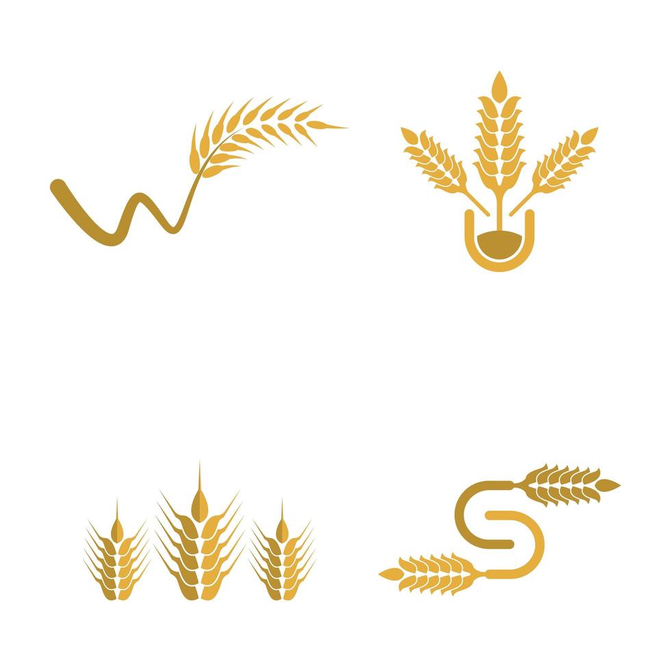 Weizen Logo Design Set vektor