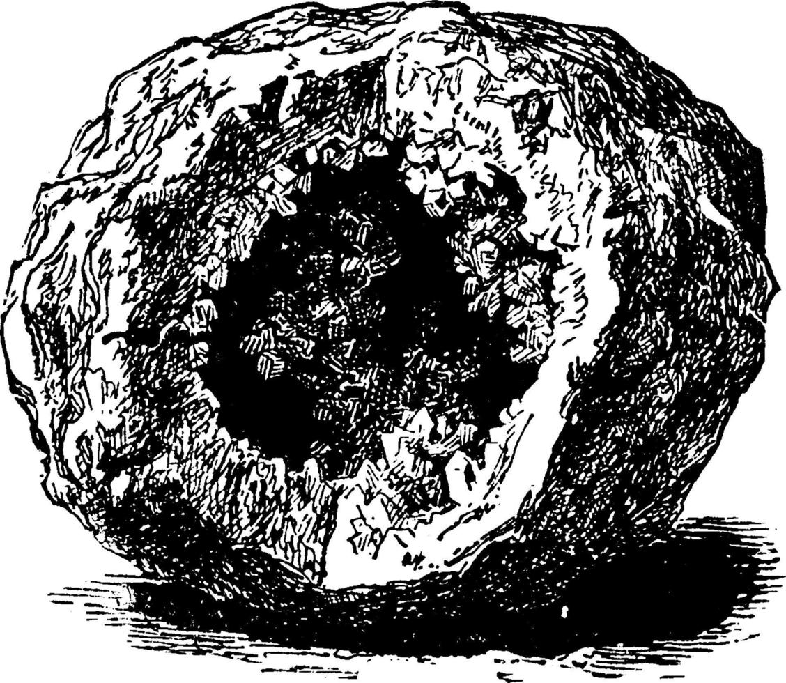 Quarzgeode, Vintage-Illustration. vektor