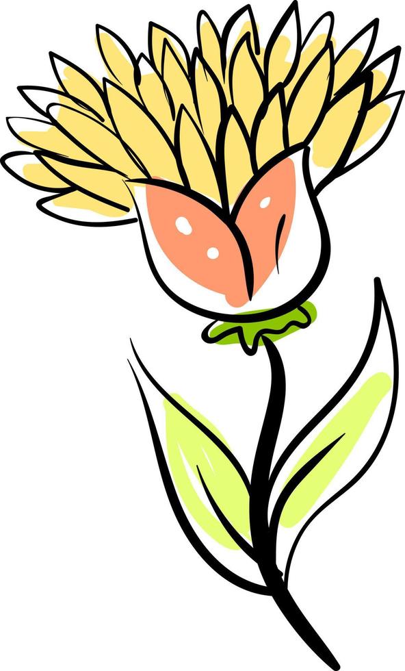 gelbe Blume, Illustration, Vektor auf weißem Hintergrund.