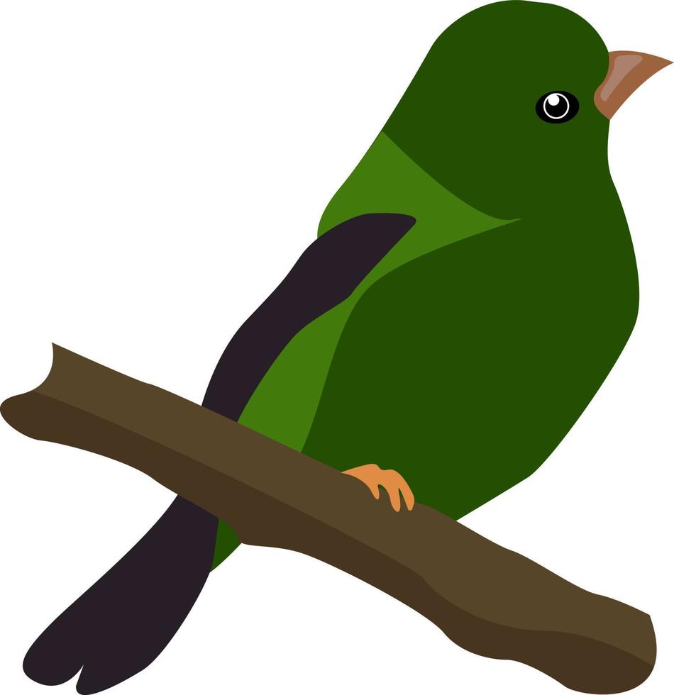 grüner Vogel, Illustration, Vektor auf weißem Hintergrund.