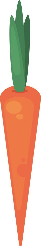 Orange Karotte, Illustration, Vektor auf weißem Hintergrund