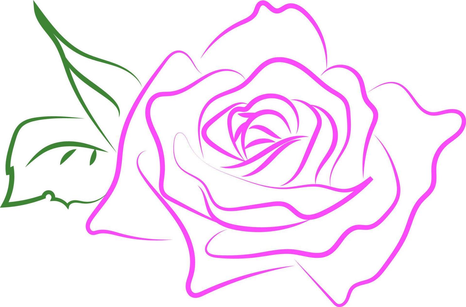 rosa Rosenzeichnung, Illustration, Vektor auf weißem Hintergrund.
