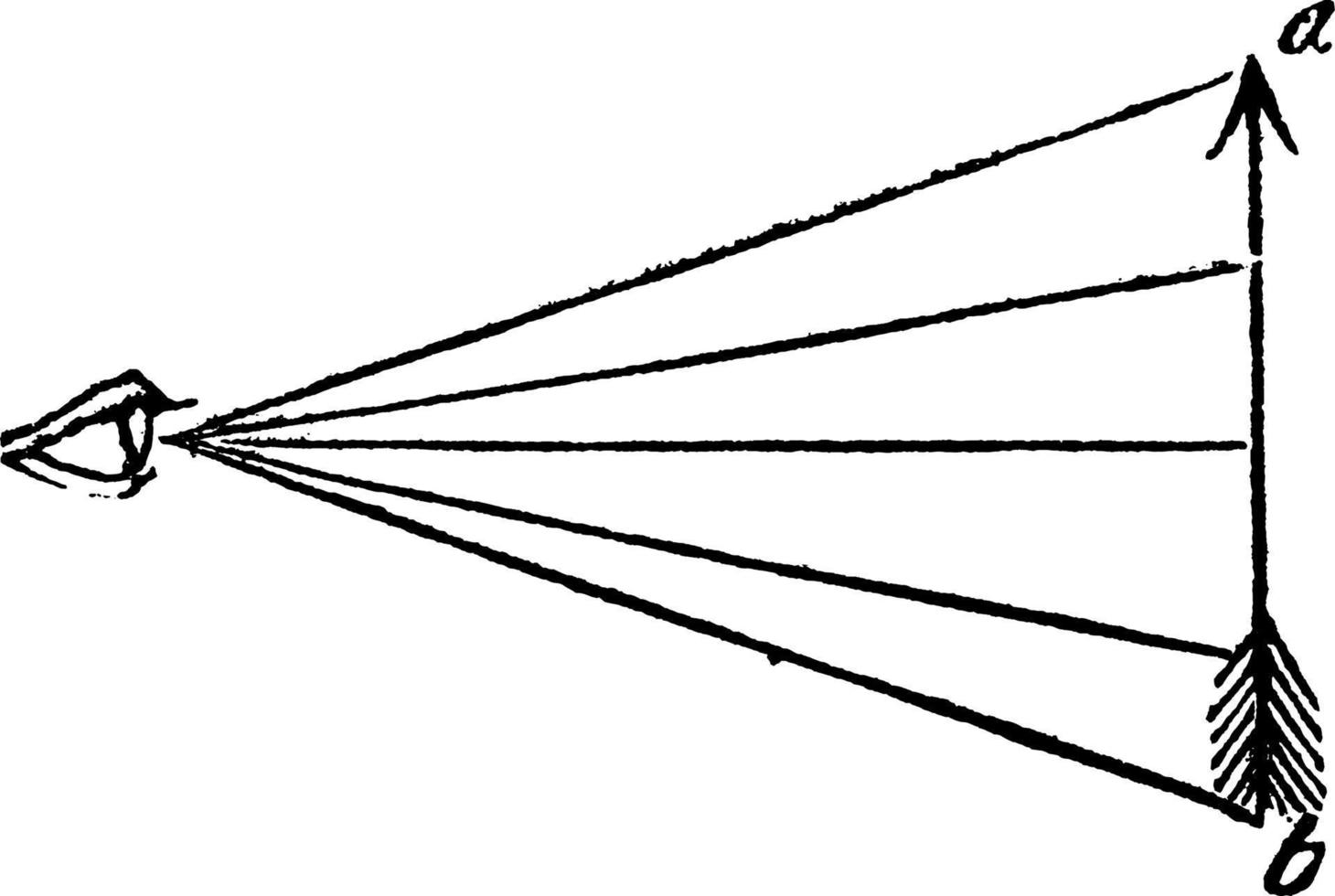 natürliches Sehen, Vintage-Illustration. vektor